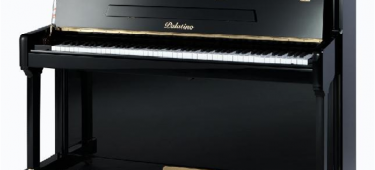 Piano Palatino – Uy Tín – Chất Lượng – Giá hợp lý